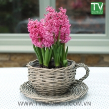 TV14406/2