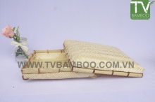 TV14200