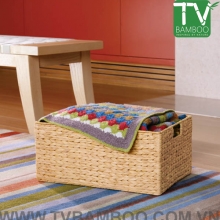 TV14381