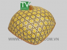 TV1413_Y